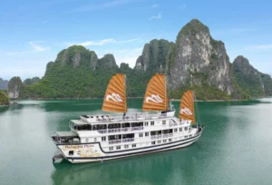 Paradise Peak Cruise