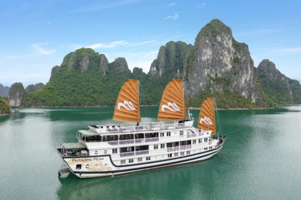 Paradise Peak Cruise