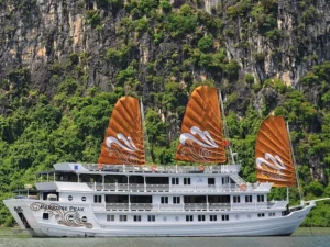 Paradise Peak Cruise