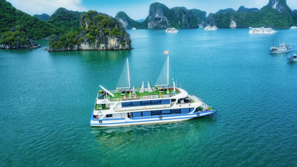 Queen Cruise