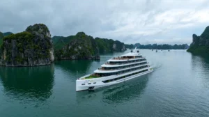 Sea Stars Cruise