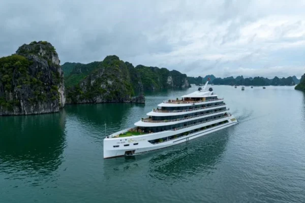 Sea Stars Cruise