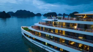 Sea Stars Cruise