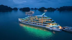 Sea Stars Cruise