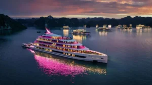 Sea Stars Cruise