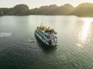 Serenity Explorer Cruise