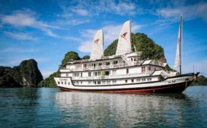 Signature Cruise