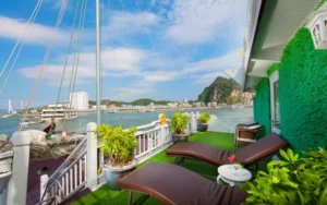 Signature Cruise