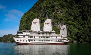 Signature Cruise