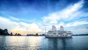 Signature Cruise