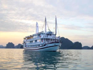 Signature Royal Cruise