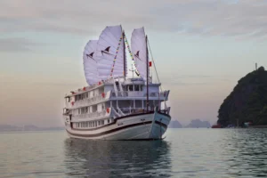 Signature Royal Cruise