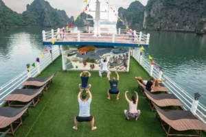Swan Cruise
