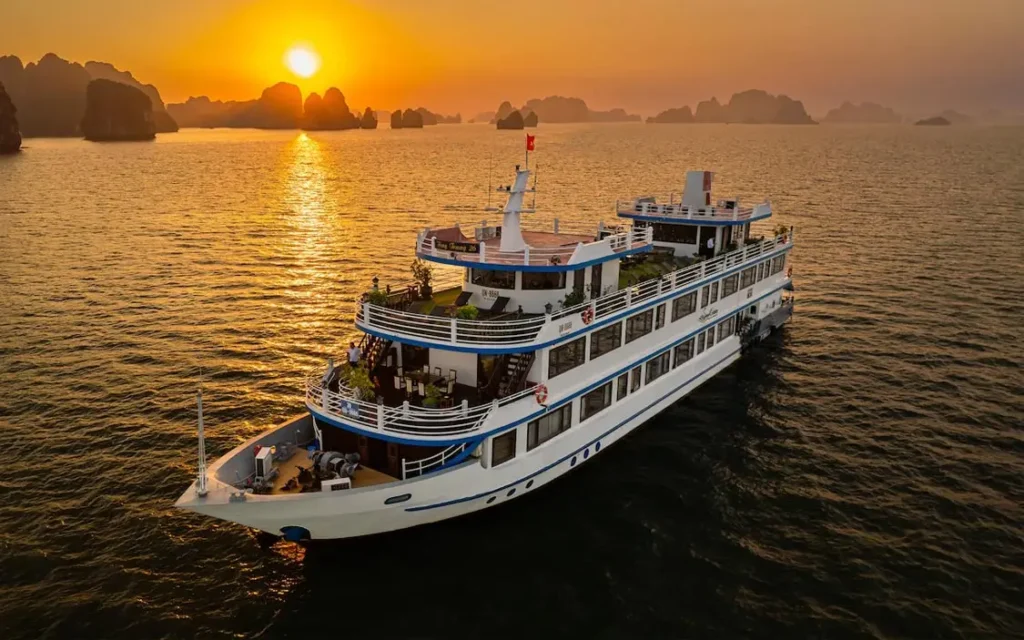 Swan Cruise