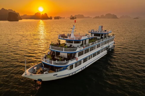 Swan Cruise