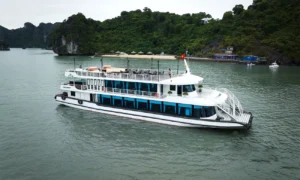 V-Dream Cruise