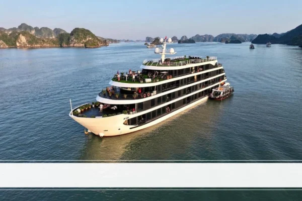 Venus Cruise