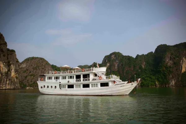 Bhaya Premium Cruise
