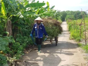 hanoi jeep tour to Co Loa village