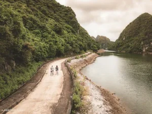Heritage Line Ginger Cruise