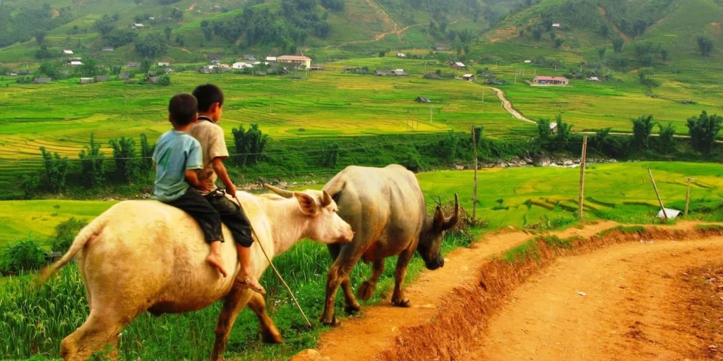 Sapa Lao Chai Ta Van Village Trekking