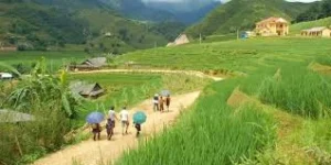 Sapa Lao Chai Ta Van Village Trekking