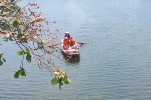 ninh binh jeep vespa tour