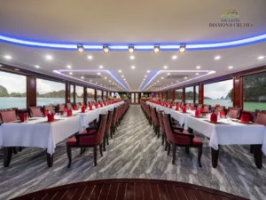Omkara Diamond Cruise