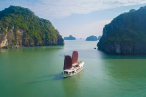 Prince Junk