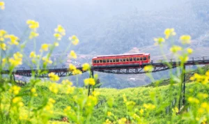 Sapa Fansipan Peak