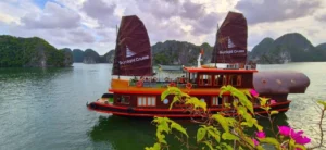 Sunlight Boutique Cruise