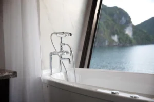 V'Spirit Cruises