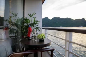 V'Spirit Cruises