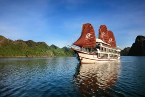 V'Spirit Cruises