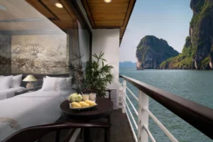 V'Spirit Cruises